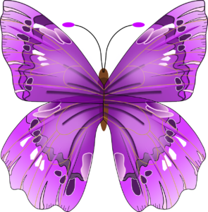 butterfly-154673_1280